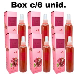 BOX BRUMA FIXADORA ROMA GLOW LOVE 200ML (BOX COM 6 UNIDADES )  - MAX LOVE